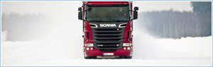 Truck transport, road freight transport, loads for trucking, backway trucks for freight transportation, delivery cargo.